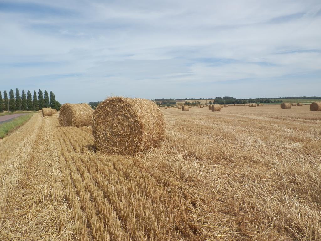 Apartmán La Ferme De La Gronde Magny-en-Bessin Exteriér fotografie